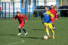 IMG_4398-001