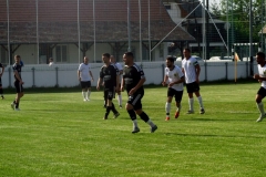 IMG_8177-001