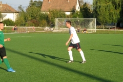 IMG_6368-001
