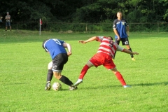 IMG_4192-001