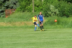 IMG_5311-001