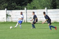 IMG_3105-001