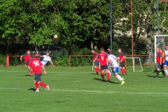 IMG_8764-001