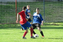 IMG_4783-001