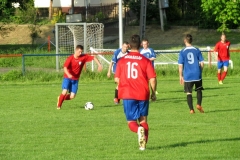 IMG_4811-001