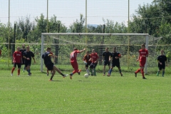 IMG_3136-001
