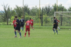 IMG_3146-001