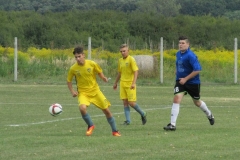 IMG_5262-001