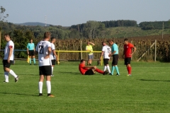IMG_6910-001