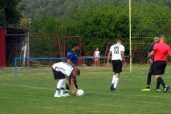 IMG_8462-001