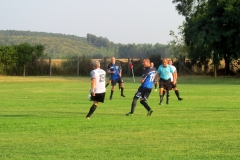 IMG_7684-001