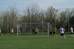 IMG_7330-001