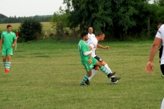IMG_5422-001