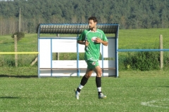 IMG_3341-001