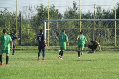 IMG_3350-001