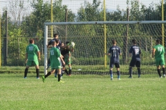 IMG_3352-001