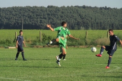IMG_3353-001