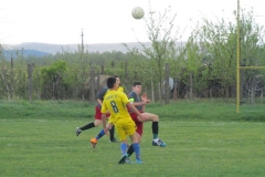 IMG_4576-001