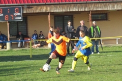 IMG_4629-001