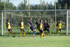 IMG_3228-001
