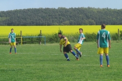IMG_4724-001