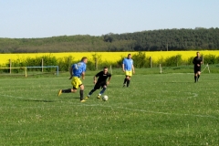 IMG_4980-001