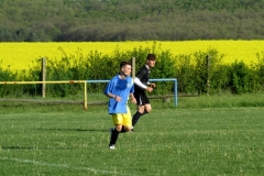 IMG_4995-001