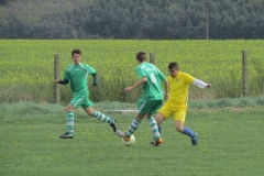 IMG_4517-001