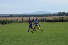 DSCF7861