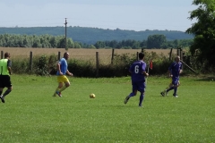 DSCF8037