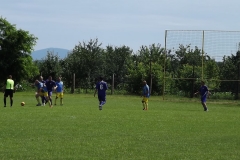 DSCF8038