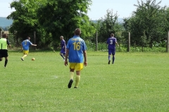 DSCF8066