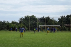 DSCF8161
