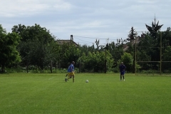 DSCF8163