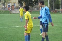 IMG_4460-001