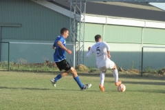 IMG_0785-001