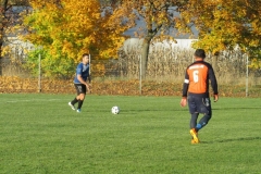 IMG_3724-001